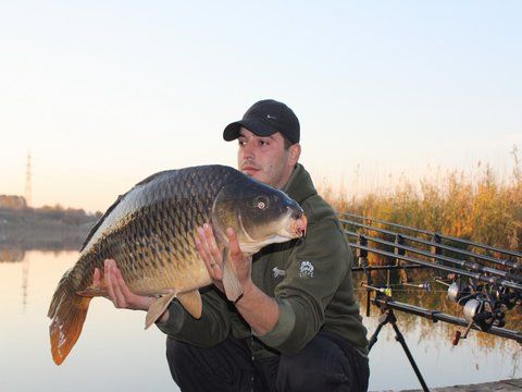 Mihai Pripon (Mitzanu), pe Ponton O