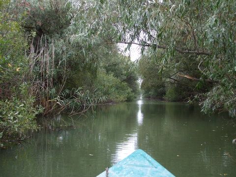 ... lung..., dar parca in departare se vede o lumina? O fi lumina de la capatul canalului...?
