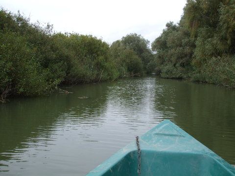 ... si iar canalul lung...