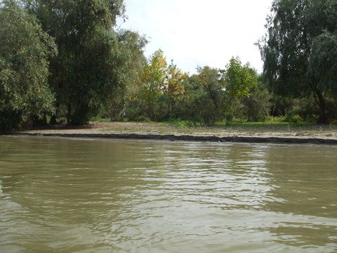 si per ansamblu locul pare ok