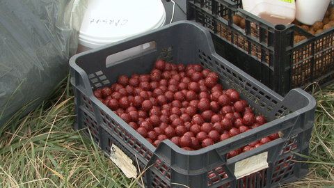 Super cupa de la Moara (1).JPG