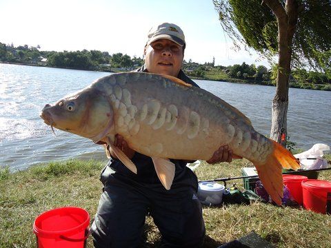 Salonta 16 kg