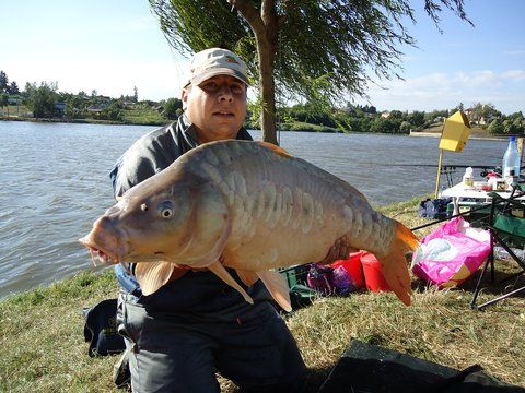 Salonta 16kg