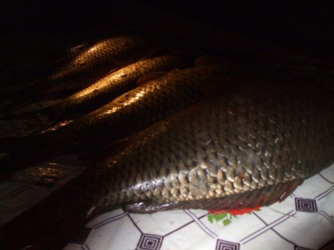 ... sau mai artistic...