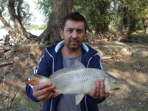 ... dar a scos si ucenicul ceva...