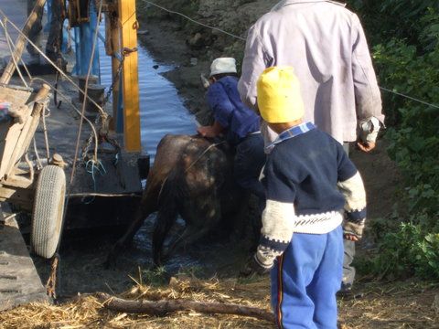 Se poateee, cineva ne tine (de) spate(le)...