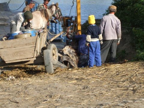 Confruntarile vizuale duc la deraierea atelajului