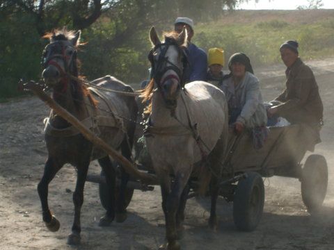 Apar spargatorii de greva in tromba