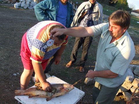 Ia uite pe cine cantareste Stefan ... pe Bubu...