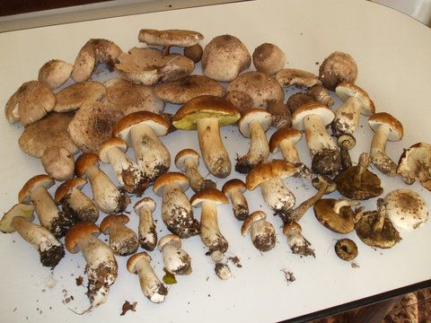 Ajuns acasa, alte capturi ... UPS ... OFF TOPIC ...