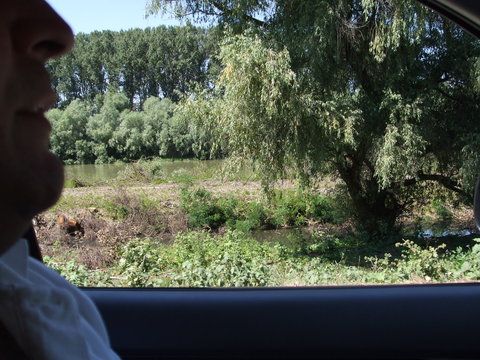 Nasul lui Sebi a mirosit ca am ajuns langa Tataru