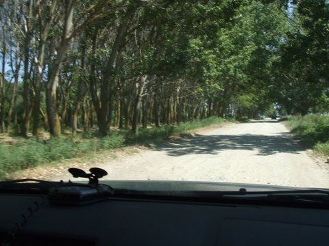 In rest ... tot acelasi drum