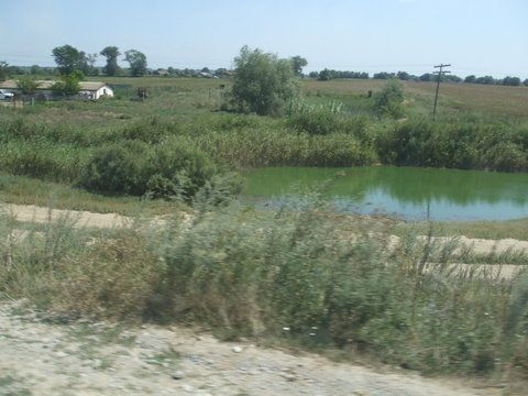 Pe traseu, ici colo, cateo baltuca ...