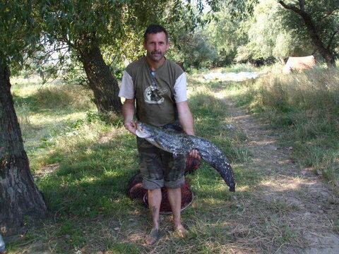 Radu cu al lui unic somn, agatat de sub inotatoarea dorsala, aia mica precum putza de furnica (adica epsilon)