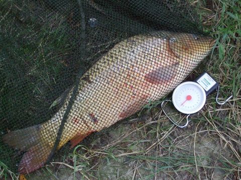 Tocmai iesi inca unul