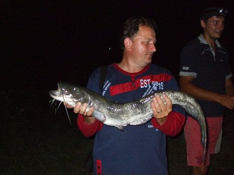 Somnul lui Tomi (cel din dreapta imaginii) ... bucuria i se citeste pe chip