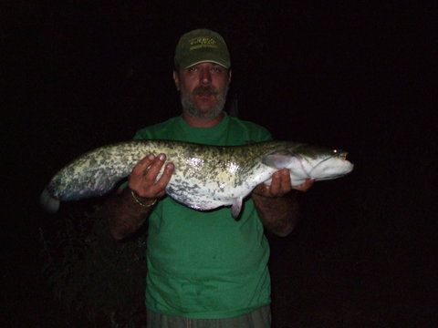 A intrat primul somn ... de noapte, la propriu