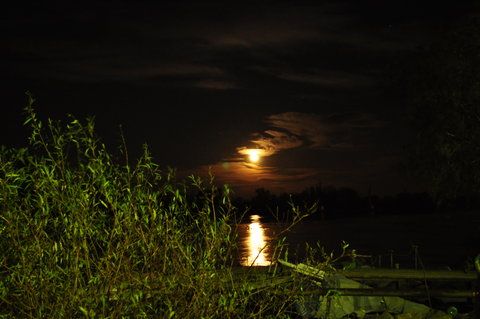 lumina din spate de la un stalp - expunere 1,3"