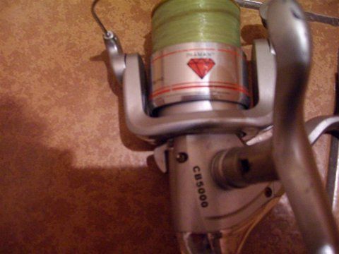 SANY2536 (Large).JPG