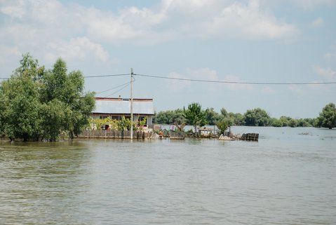 ne miram de fortele naturii...