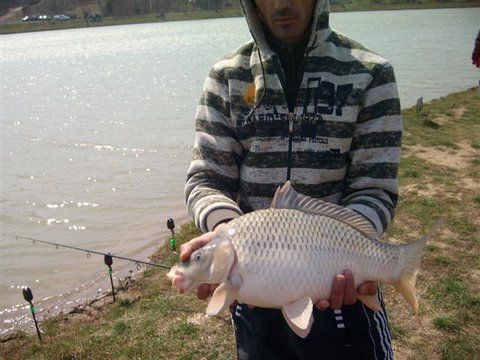 SANY2609 (Small).JPG