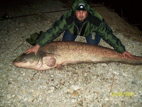 somn la Belin, la balta lui Bela - 02