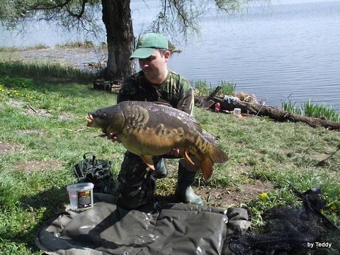 O salonta foarte rea de 7 kilograme