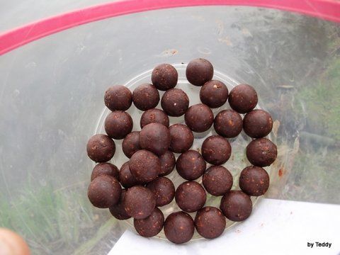 Evolution B1, ce a mai ramas dupa prima zi