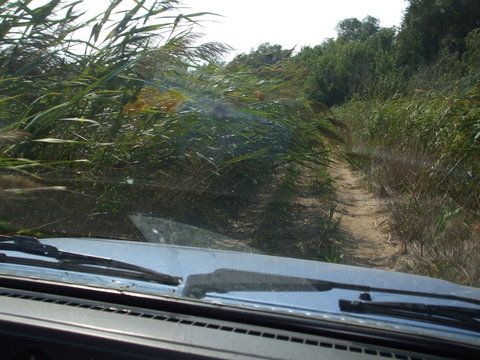 Intre canal si tabara parcurgeam cativa kilometri ...