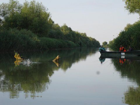 O alta din barca pe Musura.