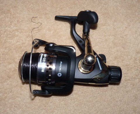 Mulineta Cormoran.jpg