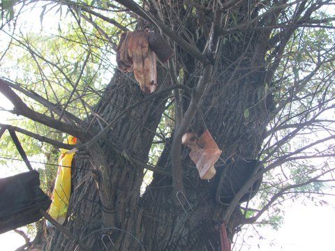 afumaturile la uscat in bataia vantului