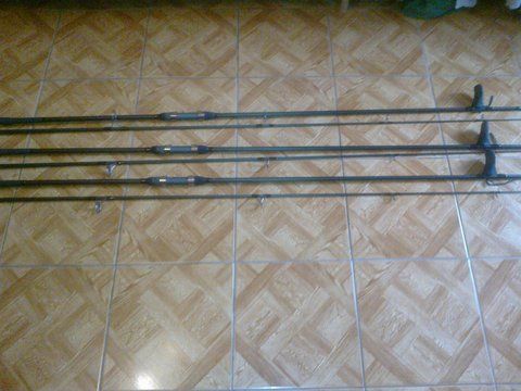 pozele sunt facute cu telefonul