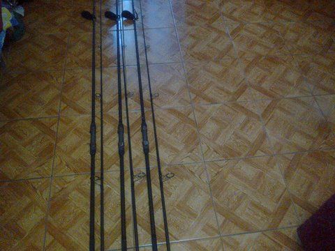 pozele sunt facute cu telefonul