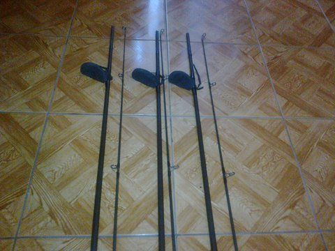 pozele sunt facute cu telefonul