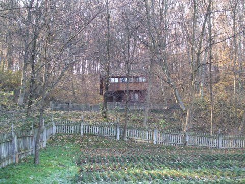Cabana de la pepiniera (&quot;batrana&quot; de 20 de ani) ...