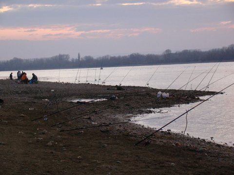 padurea ...de bete ... de pe cei 50 m din stanga mea.... si asa era pe vreo 3..4 km ...