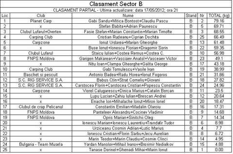 Cupa Rig-sector B.JPG