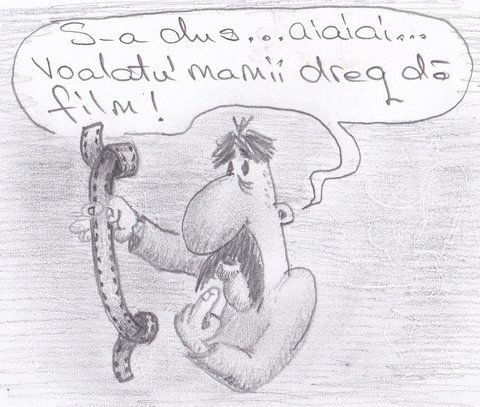 Cosmin si voalatu'.jpg