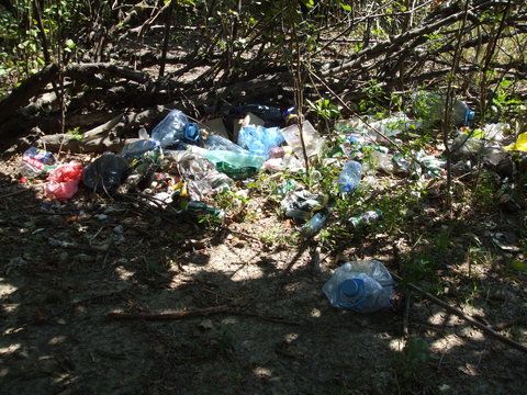 mai avem ceva de spus ?