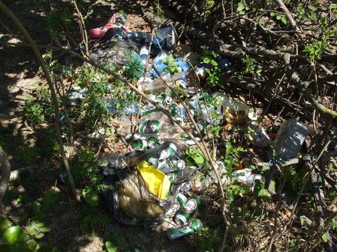 cam astia sunt unii...