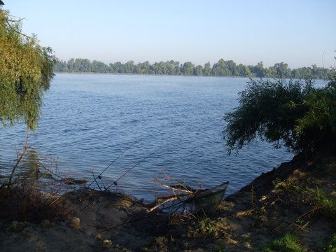 Haideti fetelor, miscati-va mai cu talent