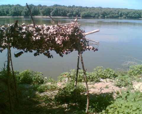 Imag022a.jpg