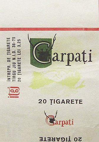 tigari-carpati.jpg
