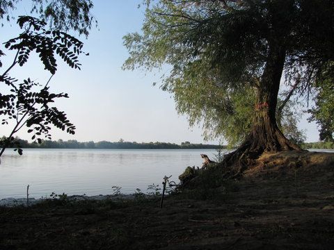 racoarea pamintului ,dimineata