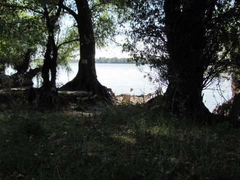 la amiaza, e bine la o umbra deasa