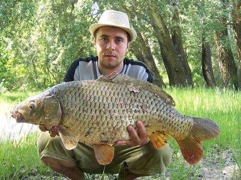 dedicatie lu` nea` Sorin