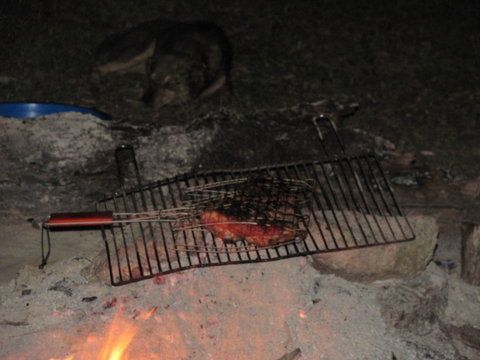 pulpa de batal la jar