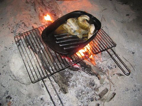 40lei/kg file de salau