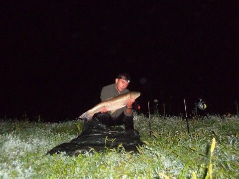 SAM_3500 (1203 x 902).jpg